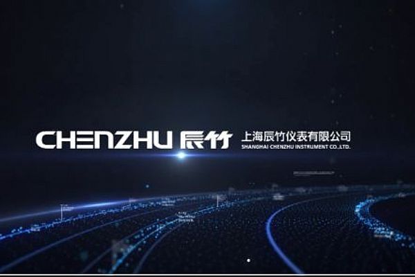 上海辰竹仪表有限公司签约思普软件2020年维护服务